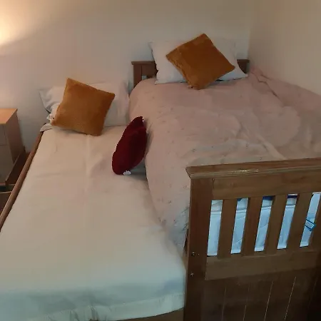 Phoenix Nights Homestay *