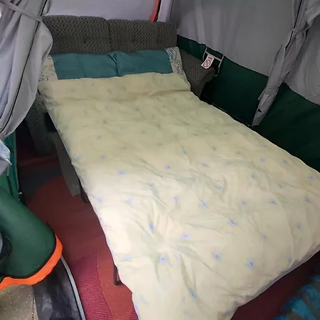 Homestay szállás Phoenix Nights *