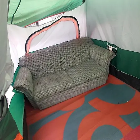 Homestay szállás Phoenix Nights *