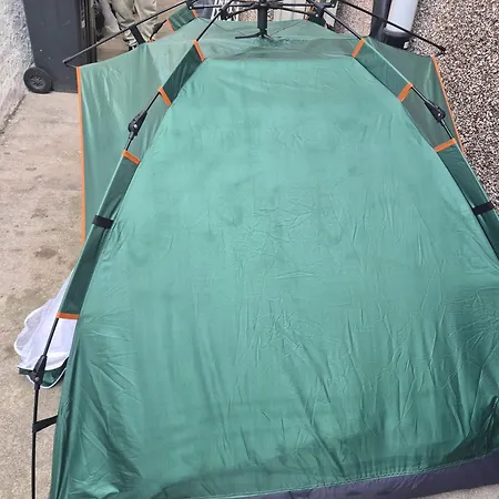 Phoenix Nights Homestay szállás