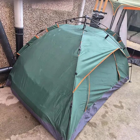 Phoenix Nights Homestay szállás *