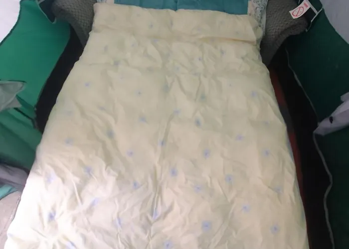 Phoenix Nights Homestay *