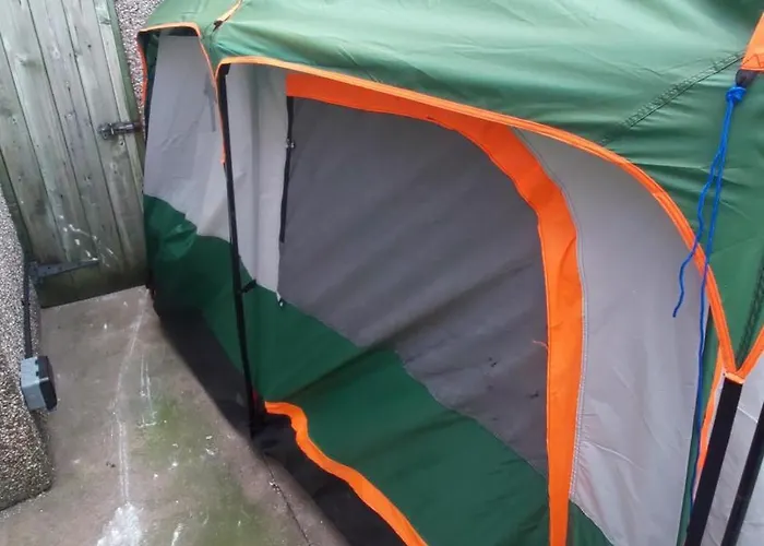 Phoenix Nights Homestay *