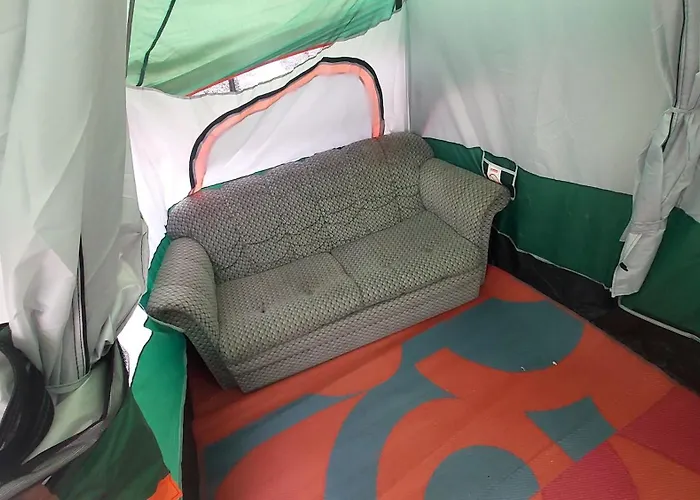 Homestay Phoenix Nights *