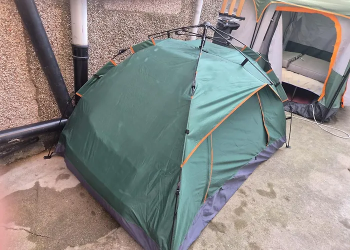 Phoenix Nights Homestay *