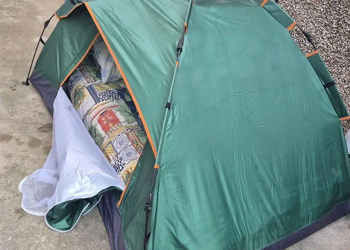 Phoenix Nights Homestay *